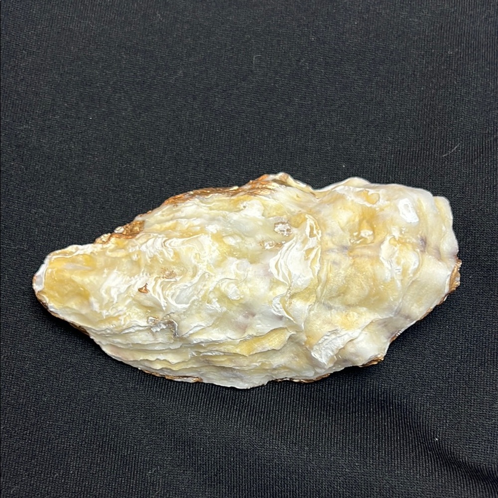 Oyster shell- Floral Decorative Trinket decor Dish with Gold Accents - Picture 8 of 11